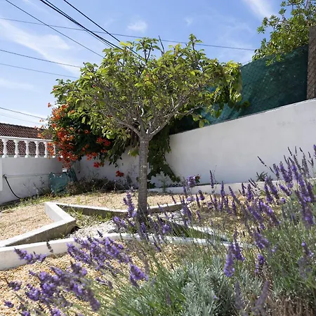 Villa Meco's Village